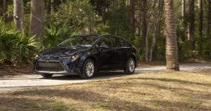 2019 Toyota Corolla XLE Sedan